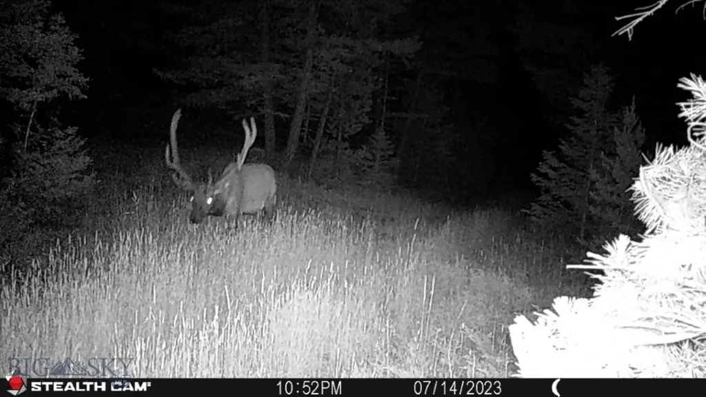 Crow Bar Indian Creek Townsend MT 59644
