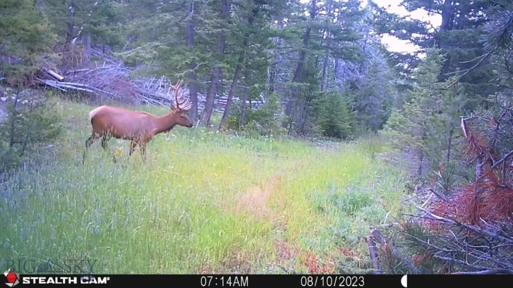 Crow Bar Indian Creek Townsend MT 59644