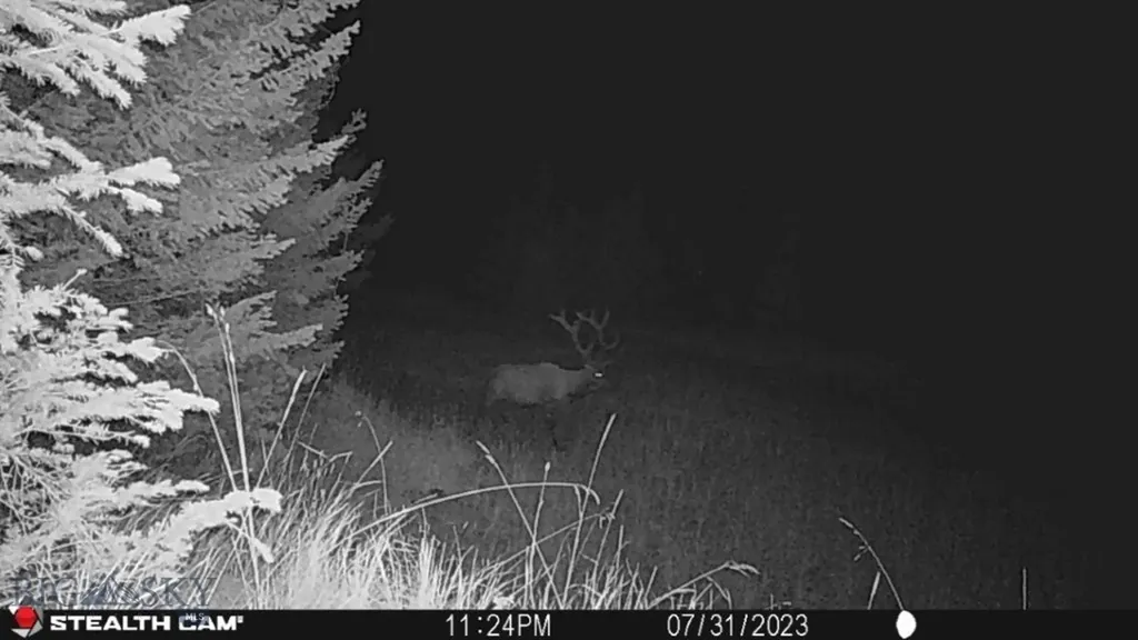 Crow Bar Indian Creek Townsend MT 59644