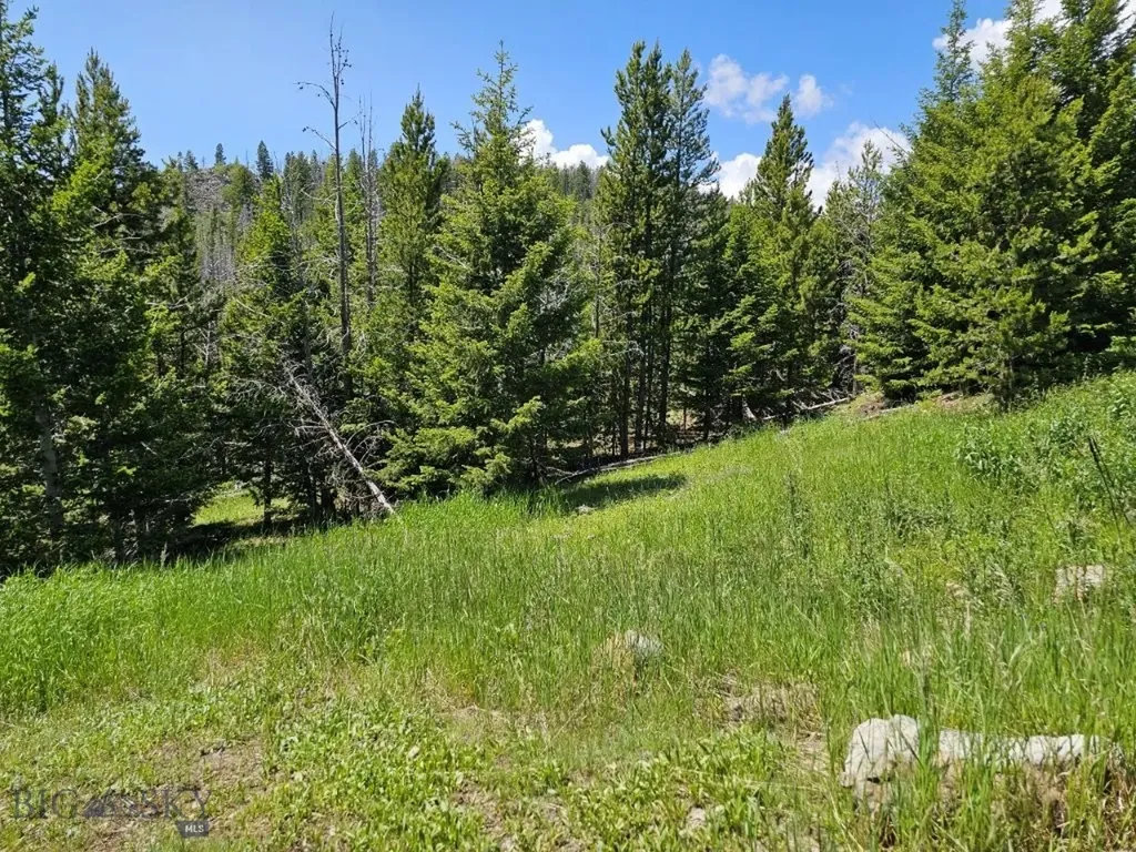 Crow Bar Indian Creek Townsend MT 59644