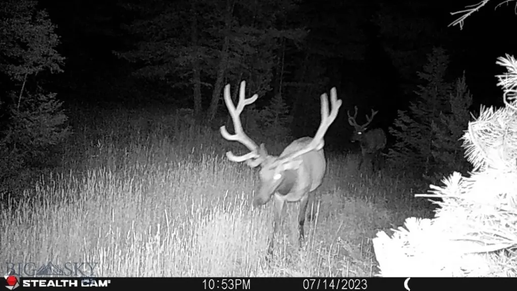 Crow Bar Indian Creek Townsend MT 59644