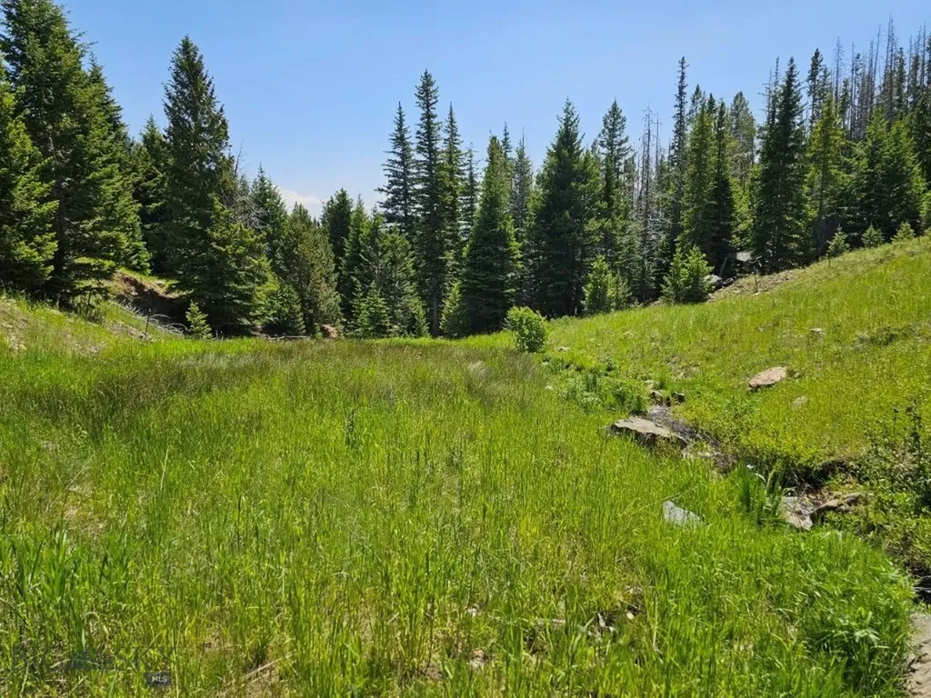 Crow Bar Indian Creek Townsend MT 59644