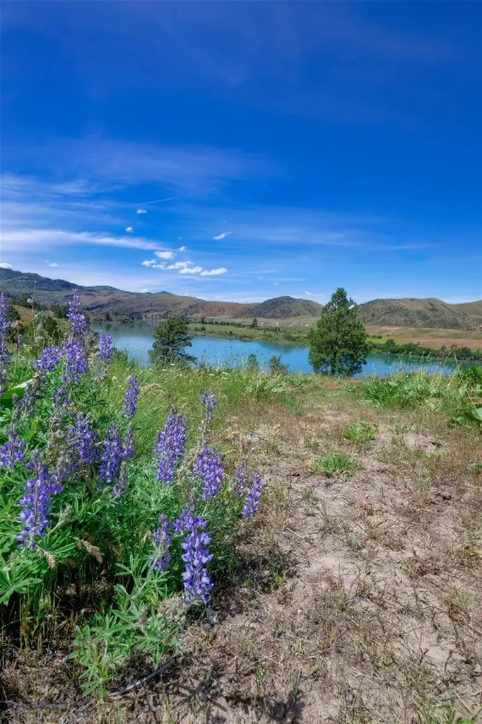 9701 Mt Highway 200 Dixon MT 59831