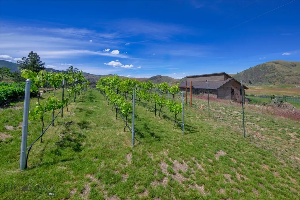 9701 Mt Highway 200 Dixon MT 59831