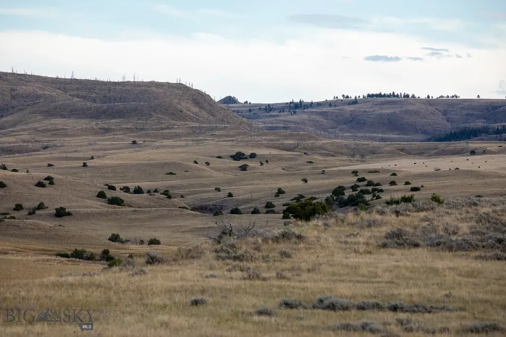 858 Lower Sweet Grass Big Timber MT 59011