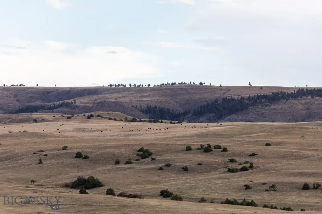 858 Lower Sweet Grass Big Timber MT 59011