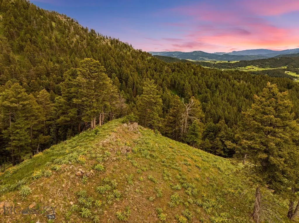 6780 Tepee Ridge Road Bozeman MT 59715