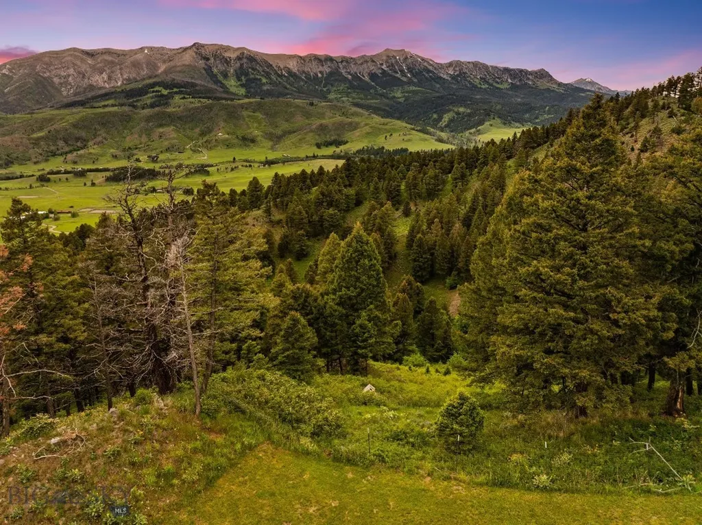 6780 Tepee Ridge Road Bozeman MT 59715