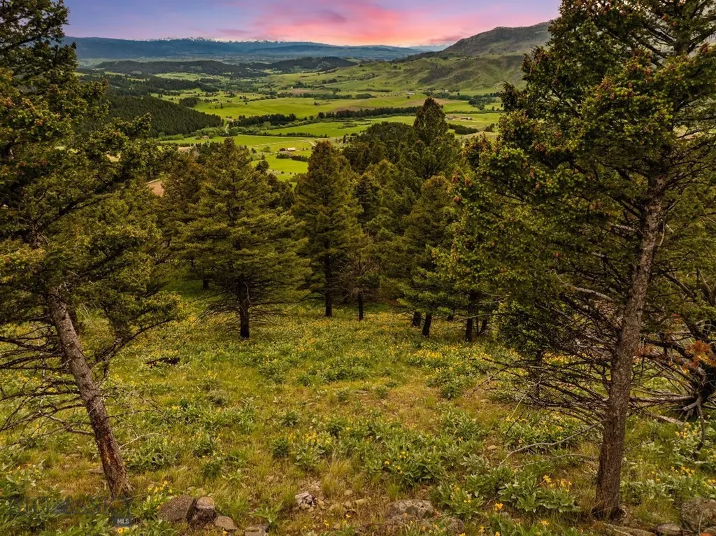 6780 Tepee Ridge Road Bozeman MT 59715