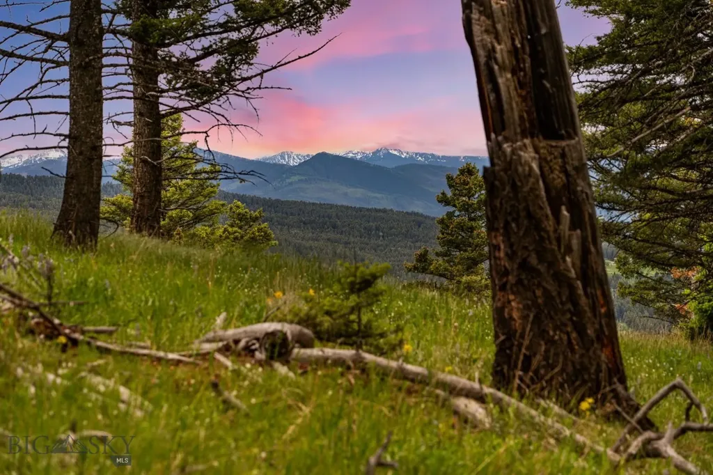 6780 Tepee Ridge Road Bozeman MT 59715