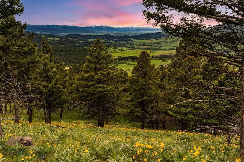 6780 Tepee Ridge Road Bozeman MT 59715