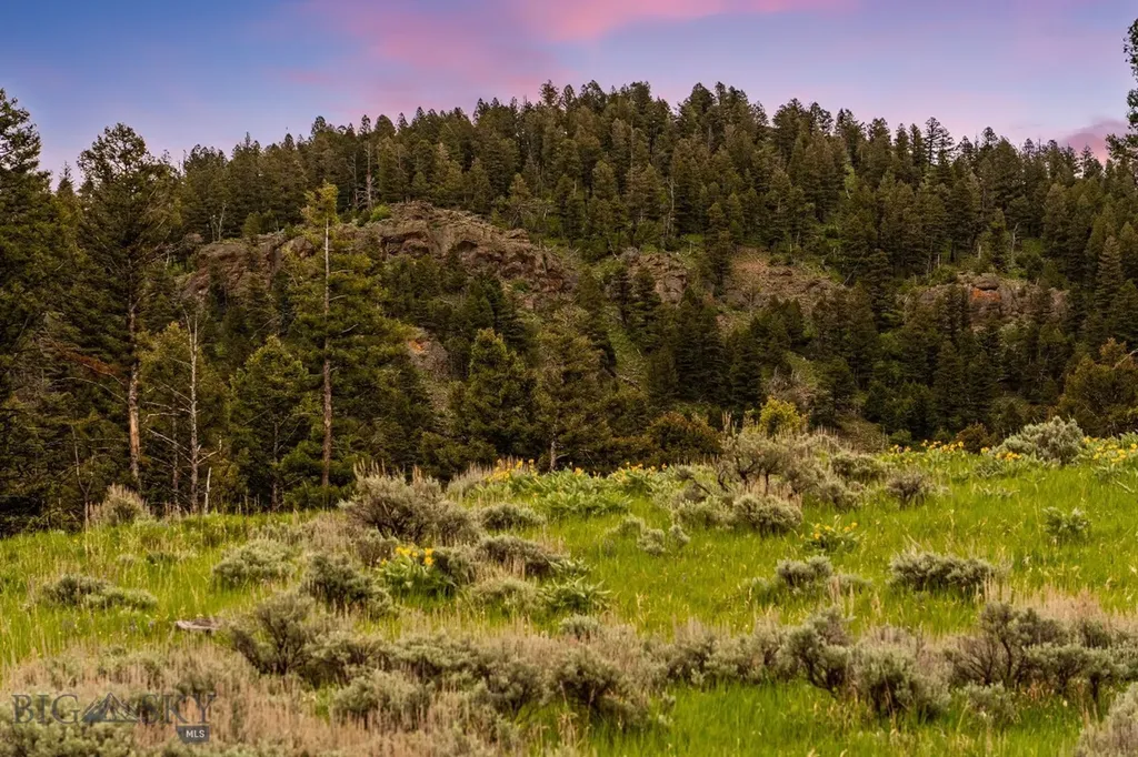 6780 Tepee Ridge Road Bozeman MT 59715