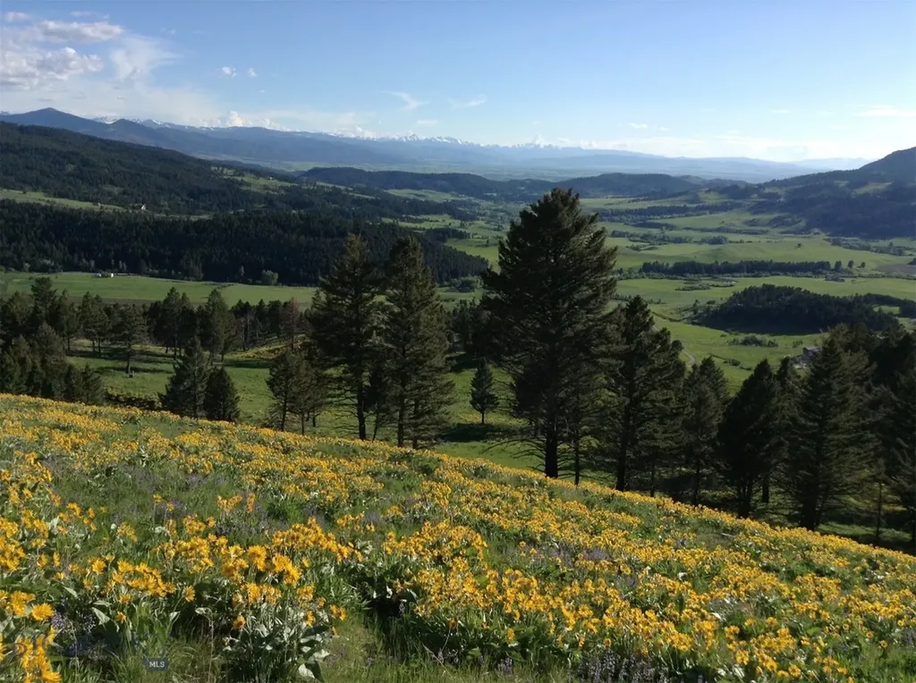 6780 Tepee Ridge Road Bozeman MT 59715