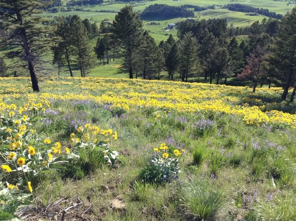 6780 Tepee Ridge Road Bozeman MT 59715