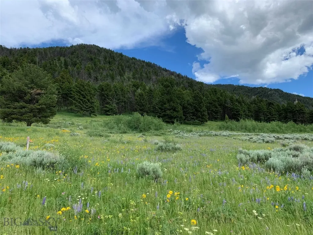 3 S Paintbrush Trail Cameron MT 59720