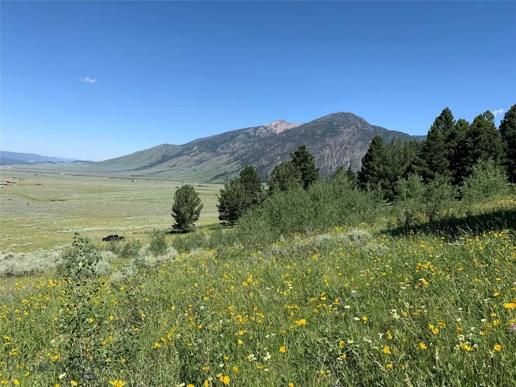 3 S Paintbrush Trail Cameron MT 59720