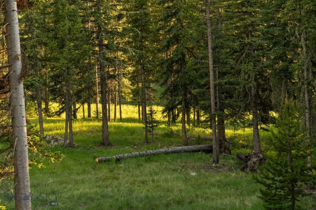 544 Grey Drake Road Big Sky MT 59716
