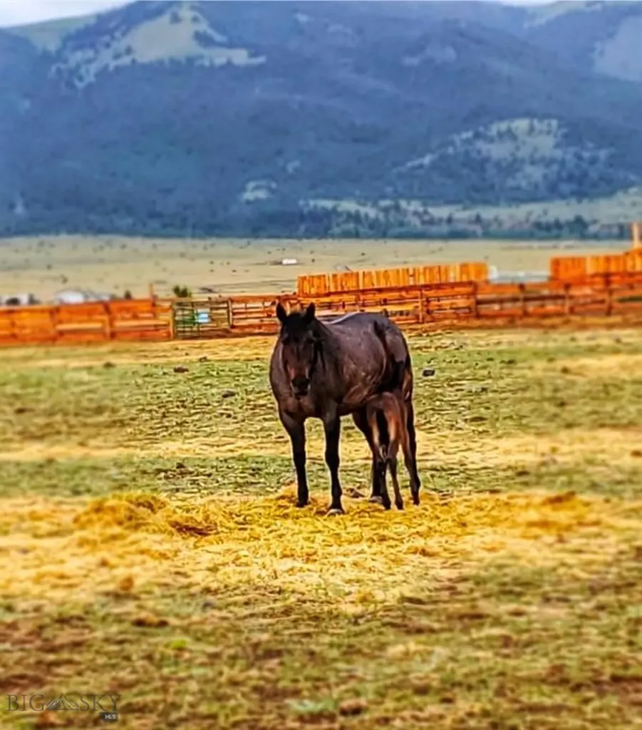 Boulder MT 59632