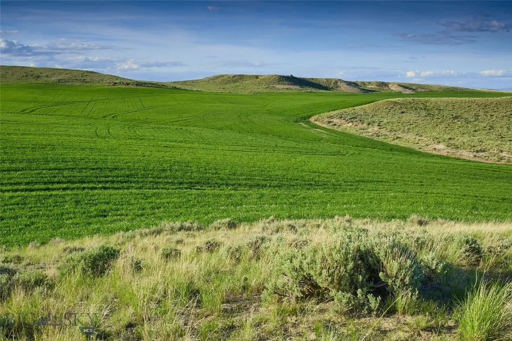 Tbd Shoddy Springs Road Three Forks MT 59752