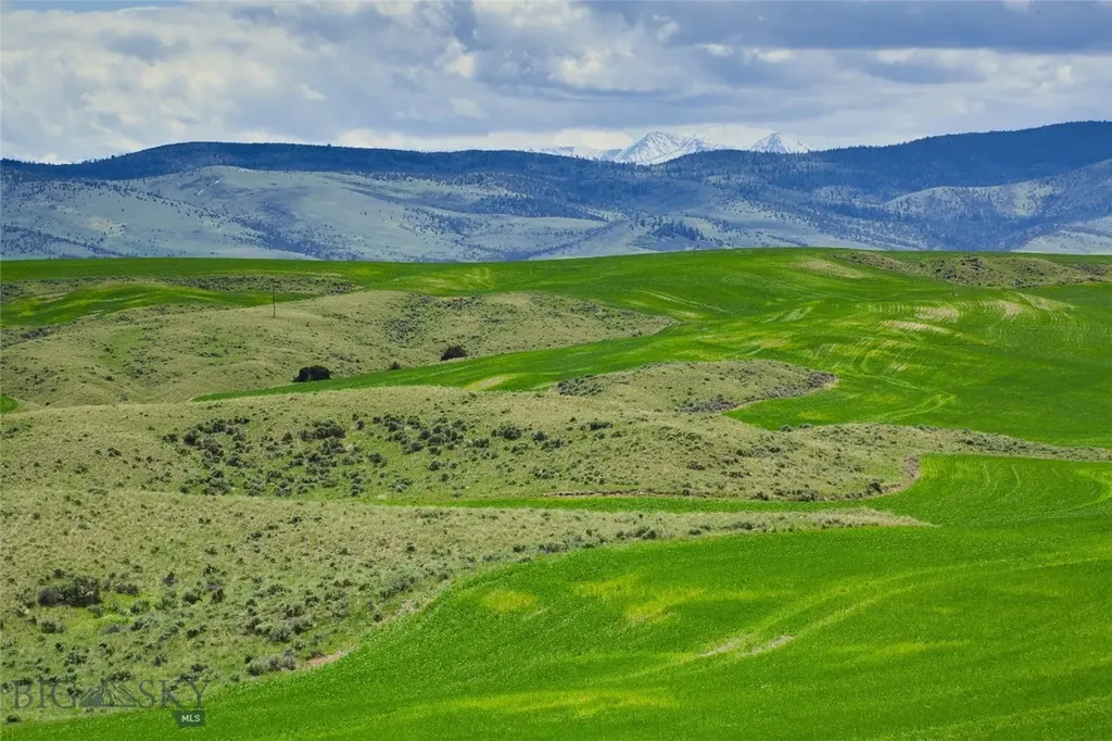 Tbd Shoddy Springs Road Three Forks MT 59752