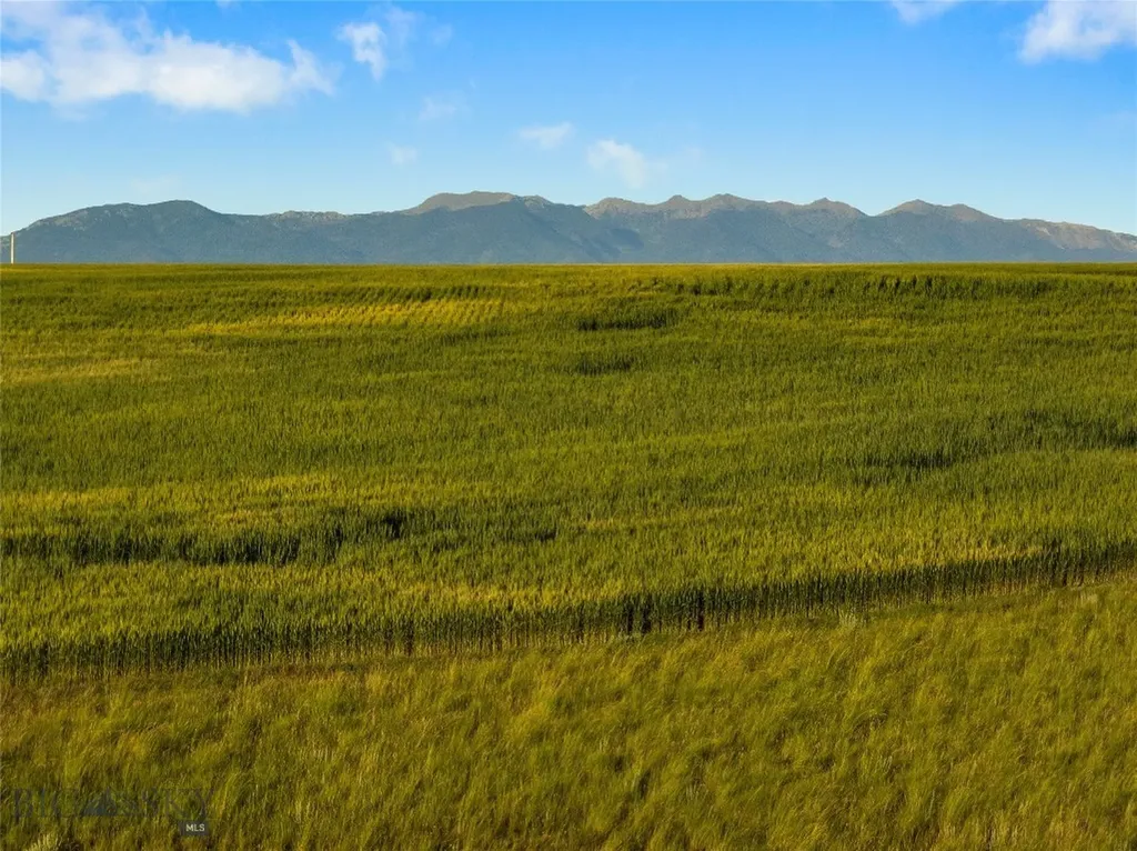 Tbd Shoddy Springs Road Three Forks MT 59752
