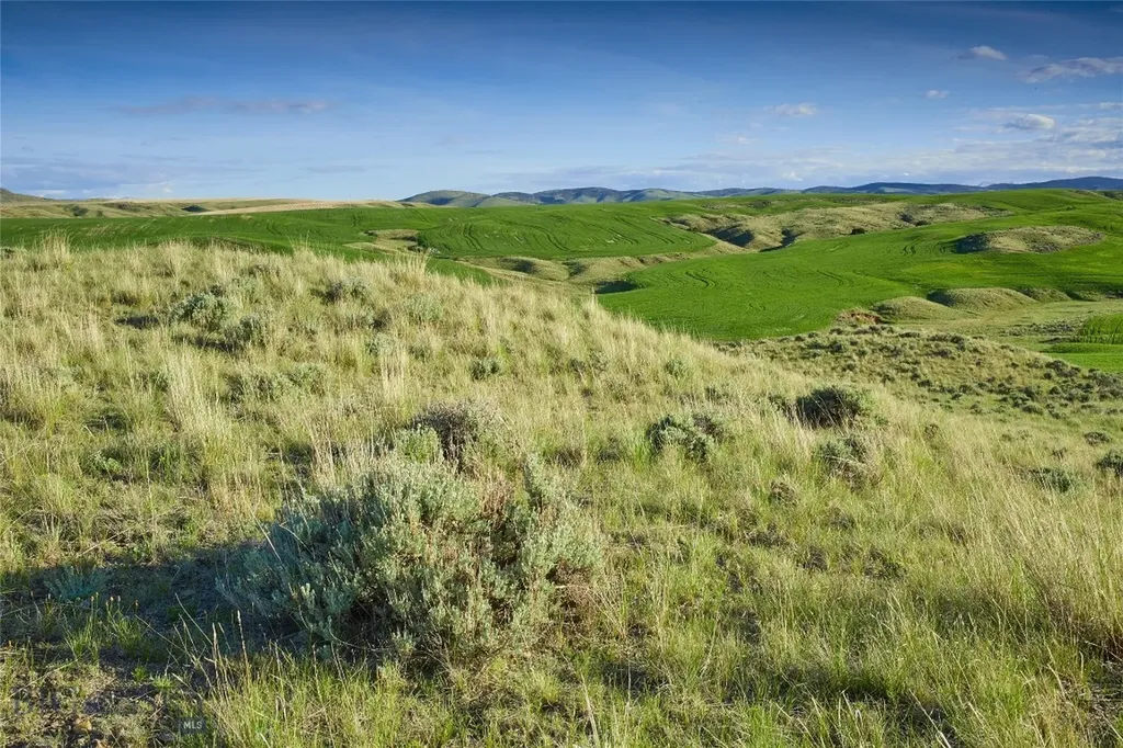 Tbd Shoddy Springs Road Three Forks MT 59752