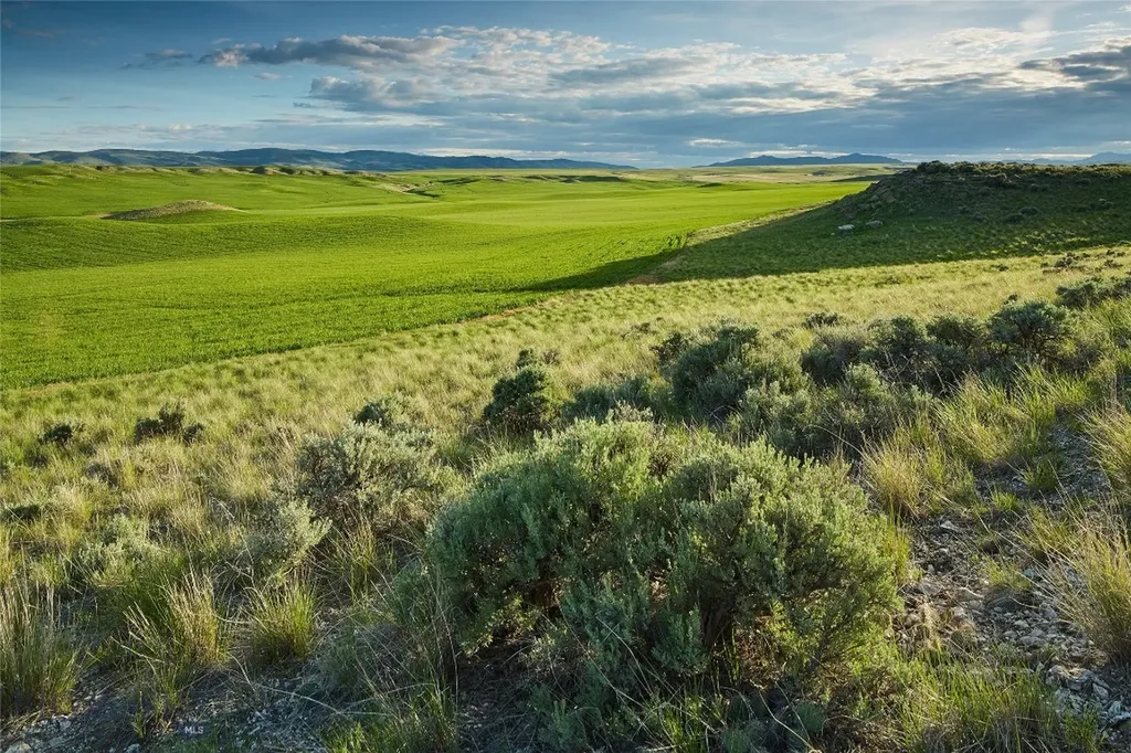 Tbd Shoddy Springs Road Three Forks MT 59752