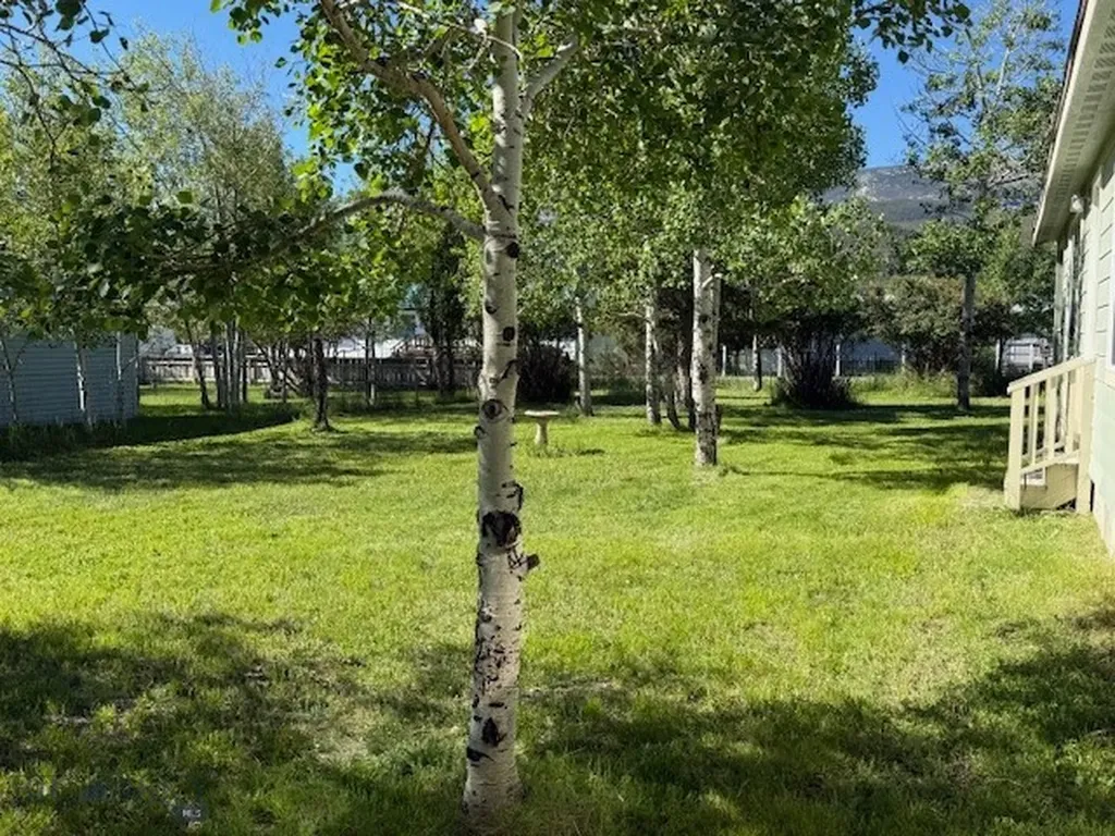216 Pintlar Street Anaconda MT 59711