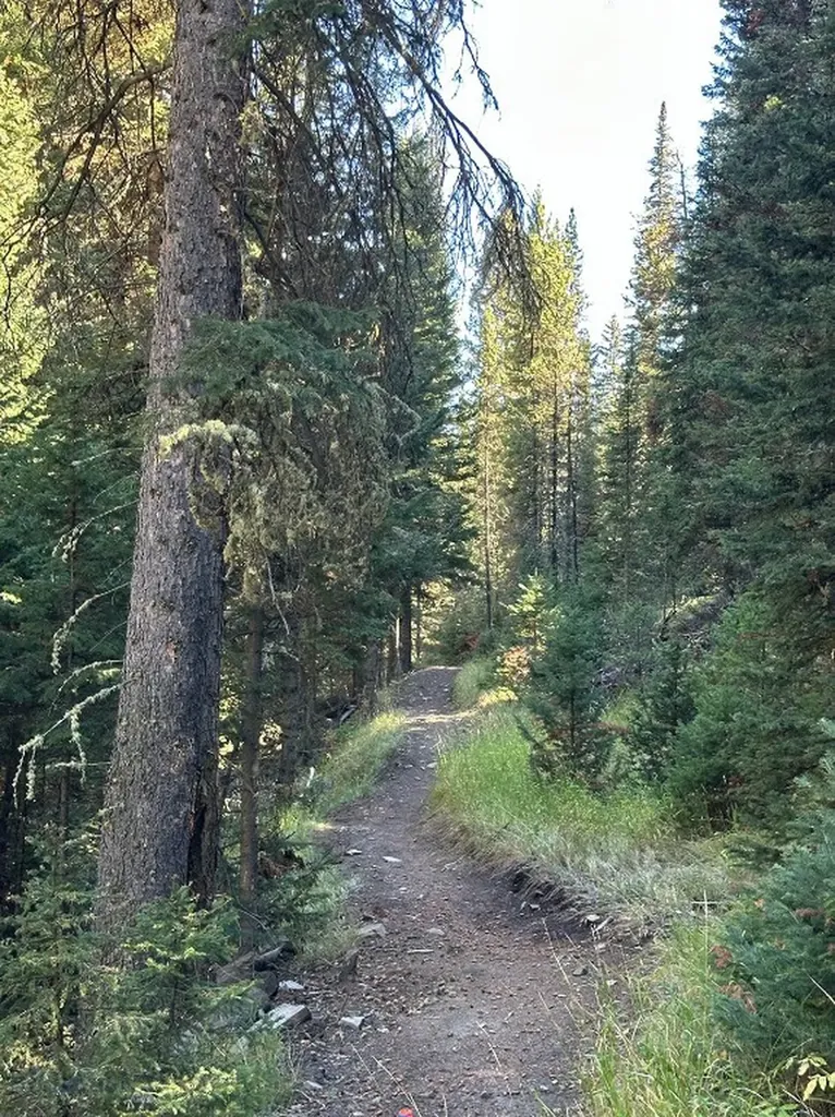 34 Old Barn Road Big Sky MT 59716