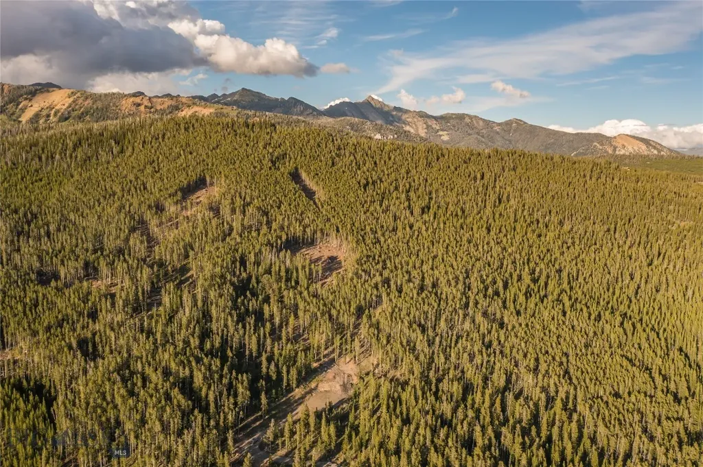 124 Ulerys Lakes Road Big Sky MT 59729