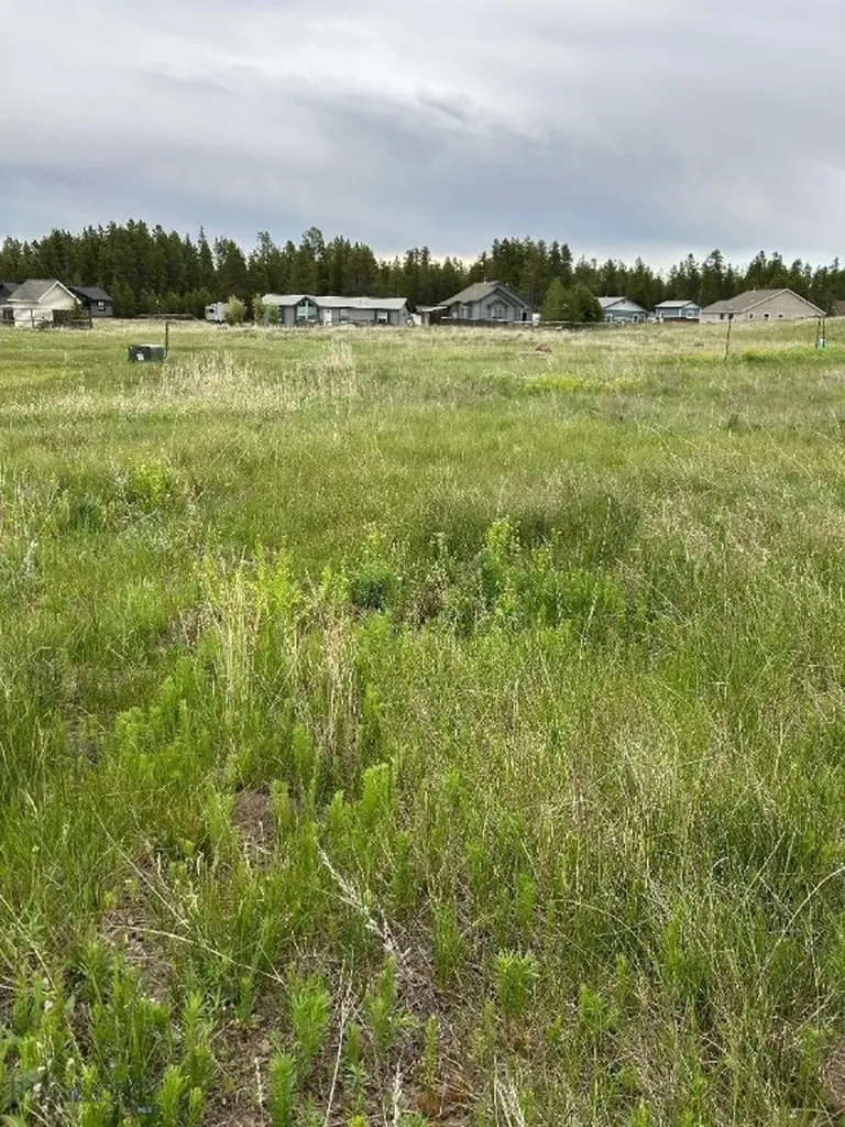Tbd Buffalo Drive West Yellowstone MT 59758