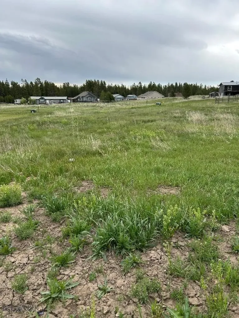 Tbd Buffalo Drive West Yellowstone MT 59758