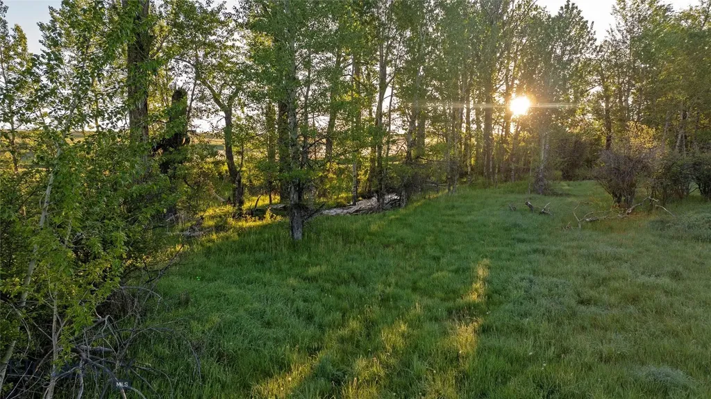 2081 Little Bear Road Gallatin Gateway MT 59730