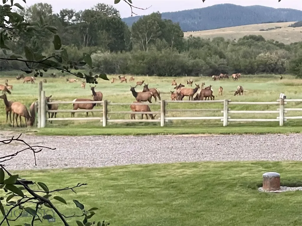 2081 Little Bear Road Gallatin Gateway MT 59730
