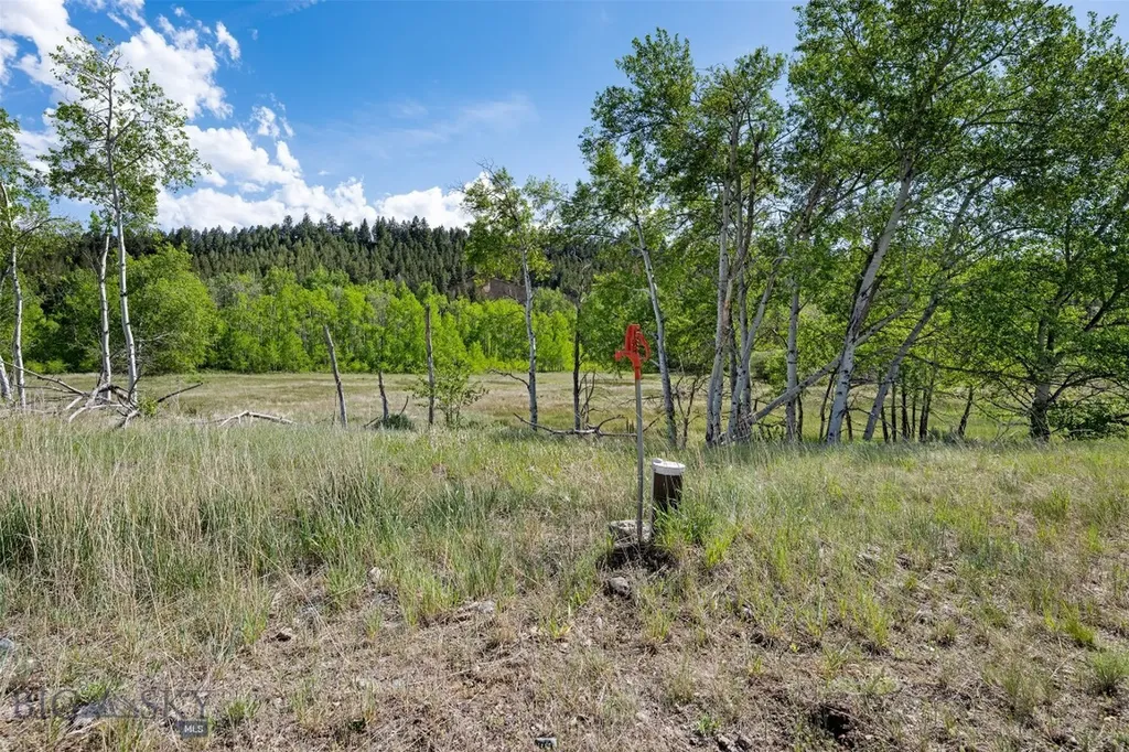 642 Deer Haven Drive Deer Lodge MT 59722