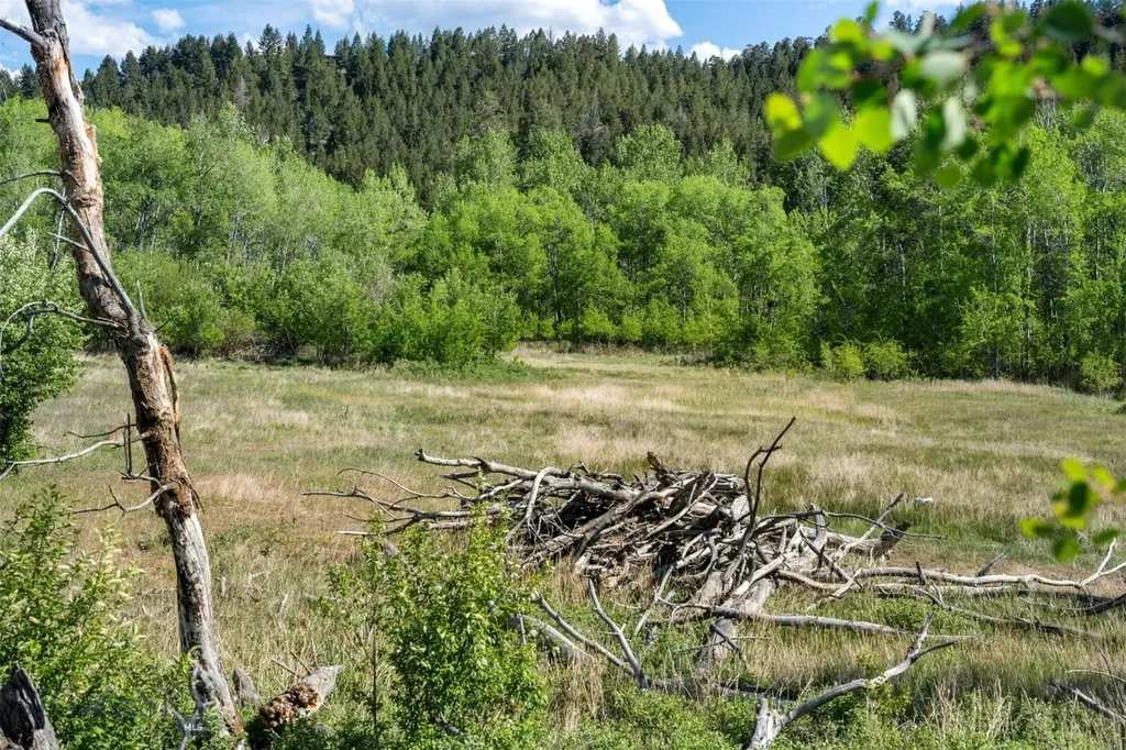 642 Deer Haven Drive Deer Lodge MT 59722