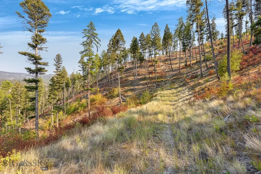 6300 Camas Creek Road Bonner MT 59823