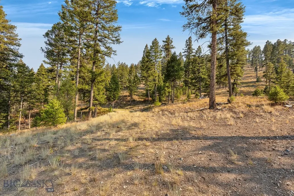 6300 Camas Creek Road Bonner MT 59823