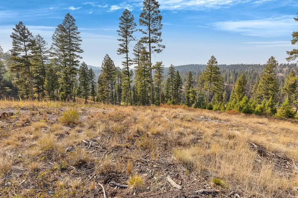 6300 Camas Creek Road Bonner MT 59823