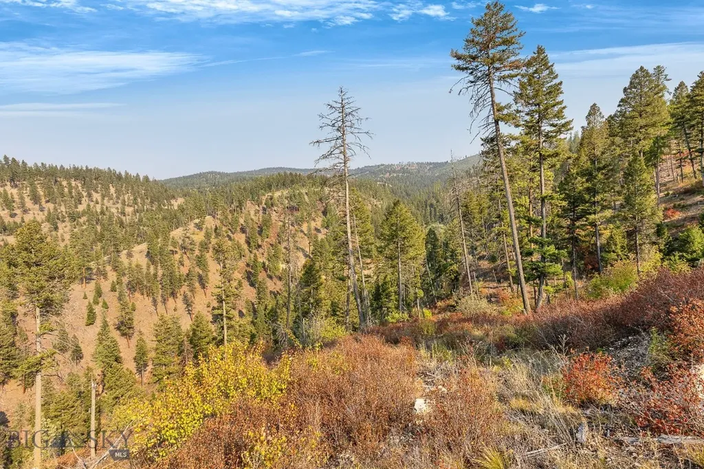 6300 Camas Creek Road Bonner MT 59823