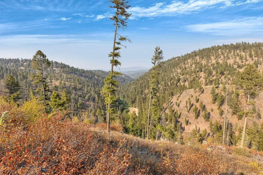 6300 Camas Creek Road Bonner MT 59823