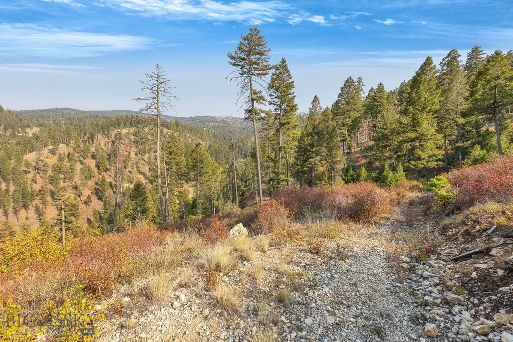 6300 Camas Creek Road Bonner MT 59823