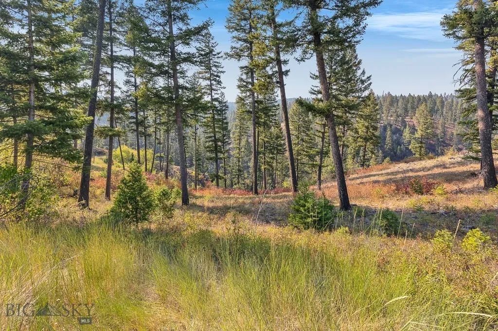 6300 Camas Creek Road Bonner MT 59823