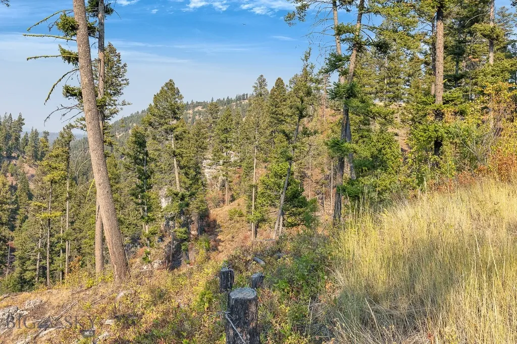 6300 Camas Creek Road Bonner MT 59823