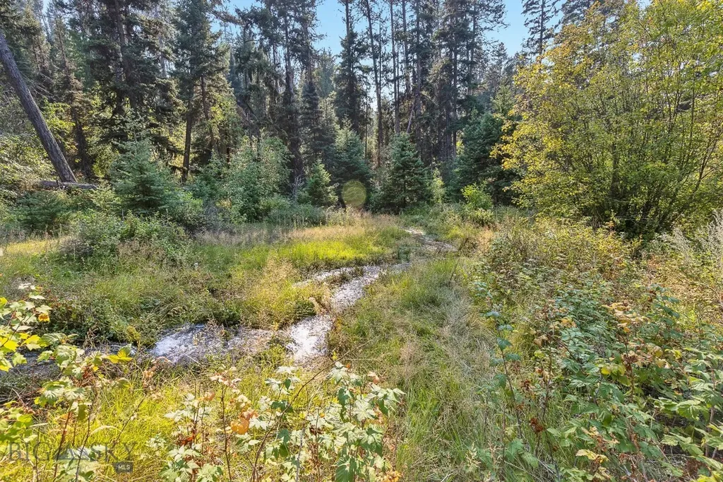 6300 Camas Creek Road Bonner MT 59823