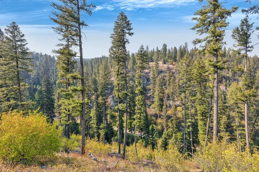6300 Camas Creek Road Bonner MT 59823