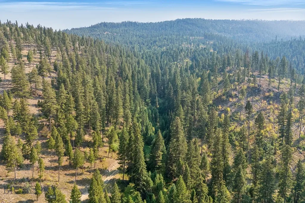 6300 Camas Creek Road Bonner MT 59823