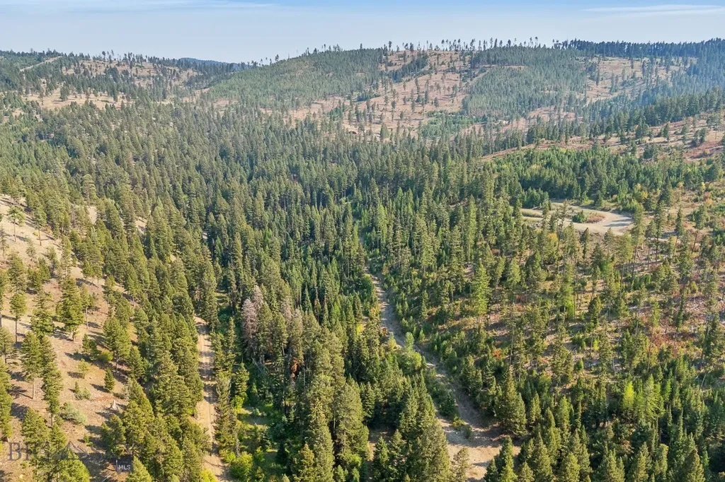 6300 Camas Creek Road Bonner MT 59823