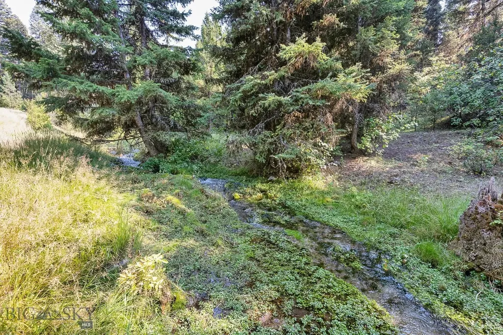 6300 Camas Creek Road Bonner MT 59823