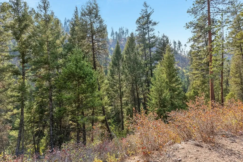 6300 Camas Creek Road Bonner MT 59823